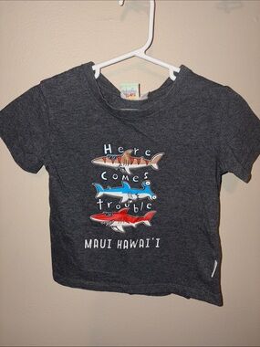Maui Hawai'i Kids' Shark Graphic Tee - Charcoal